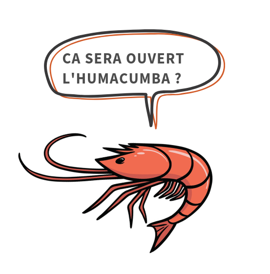 Une Paëlla en attendant la fête de l&rsquo;Huma